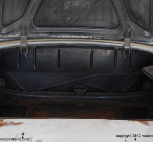 trunk_whole